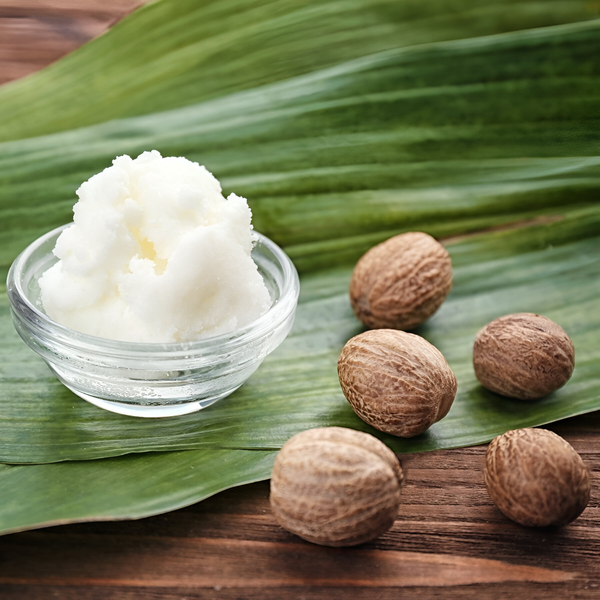 Bơ Hạt Mỡ - Bí Quyết Dưỡng Da & Làm Đẹp Từ Thiên Nhiên